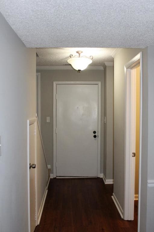 Building Photo - 309 Village Ln