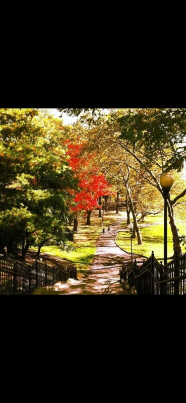 Building Photo - 90 Schuyler Ave