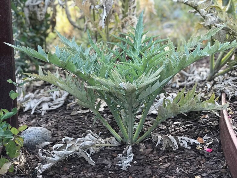 Building Photo - 5410 Princeton St