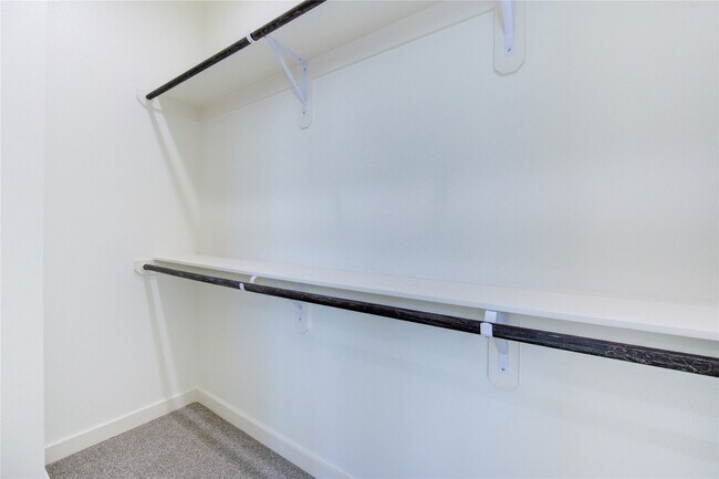 Building Photo - 2919 El Fenice Ln