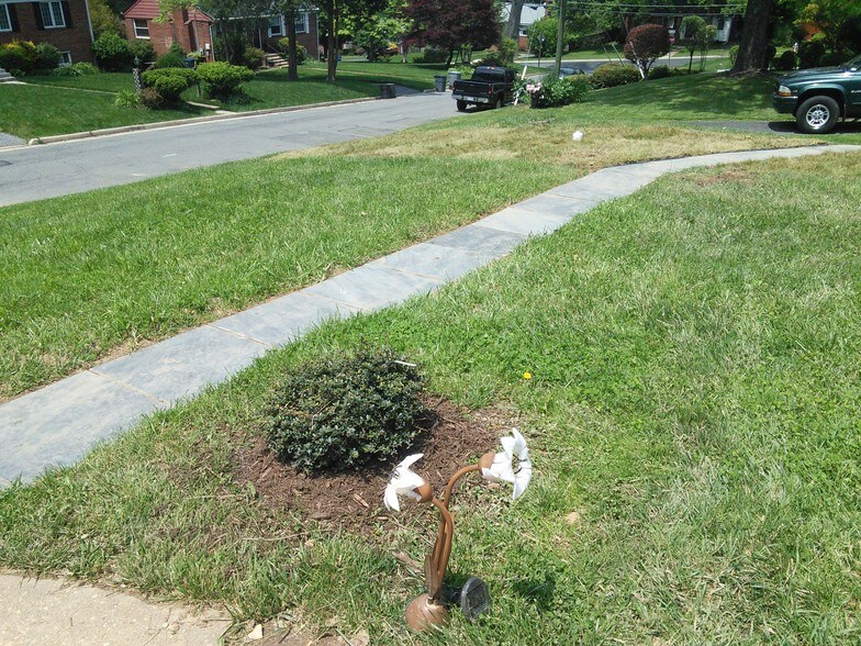 Sidewalk leading to unit. - 3905 Brenda Ln
