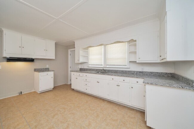 Building Photo - Newly Renovated 3-Bed, 2-Bath Home in Birm...