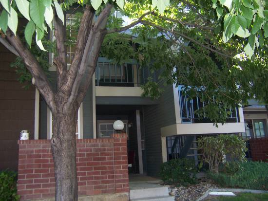 Building Photo - Spacious & Beautiful 1 Bedroom- 1.5 Bath with a Loft in Fort Collins, CO