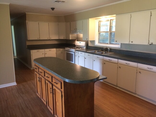 Building Photo - Four Bedroom, Two Bathroom, large yard, (MOVE IN SPECIAL!!)