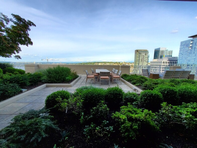 Rooftop - 819 Virginia St