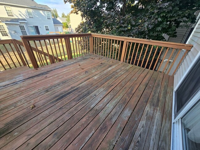 Building Photo - Spacious 4 Bedroom Duplex in North Normal ...