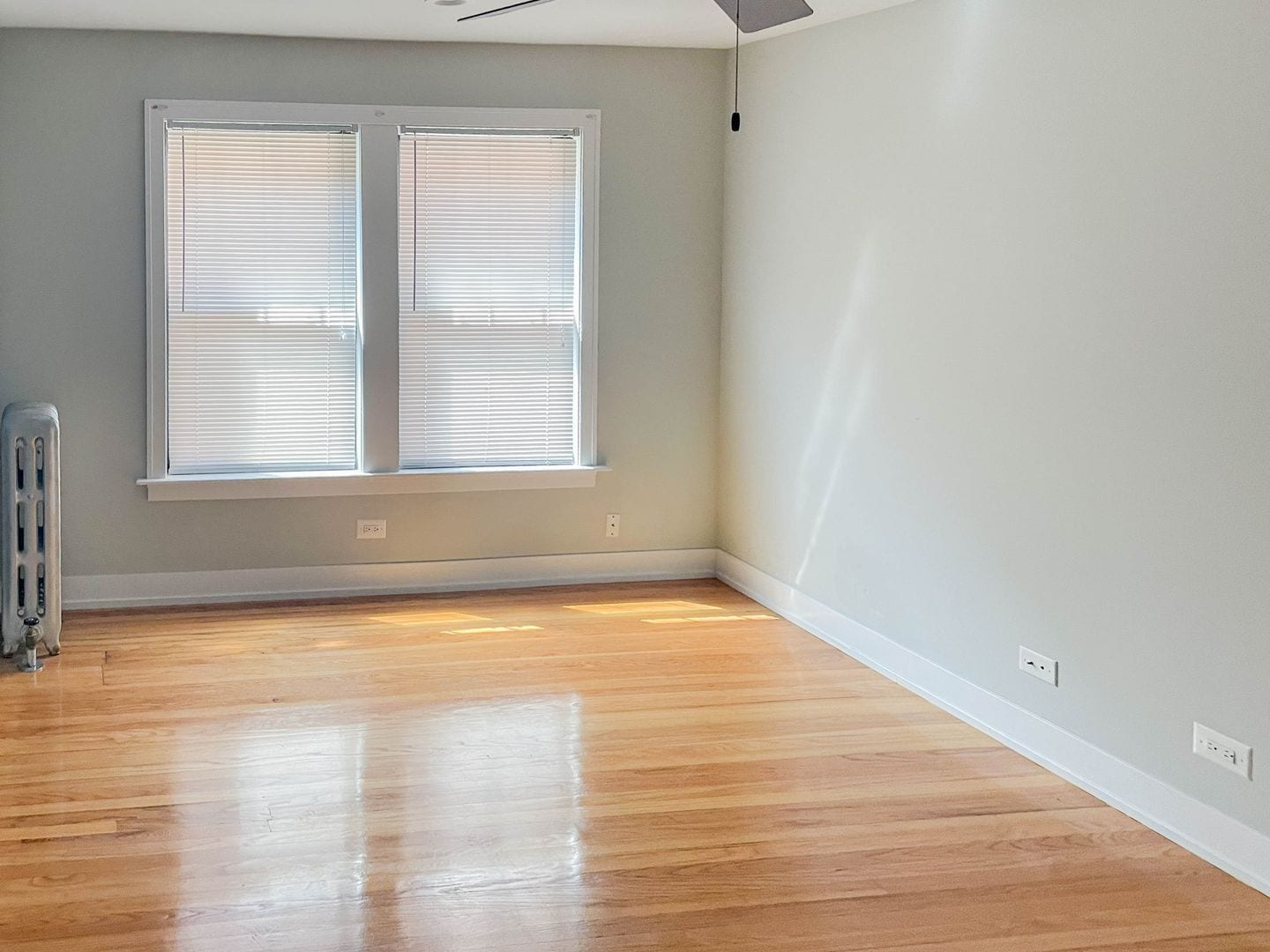 Building Photo - 538 W Cornelia Ave