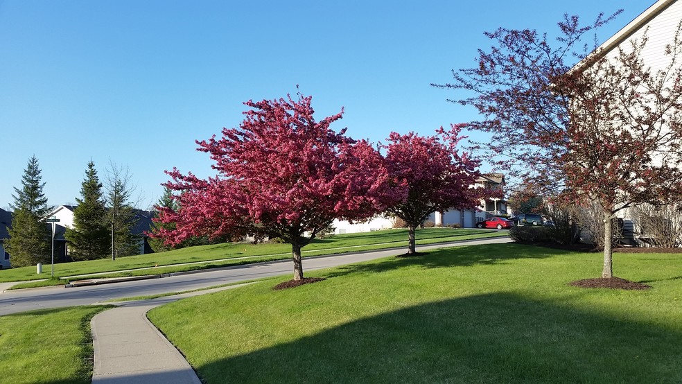 Building Photo - 218 Camden Rd