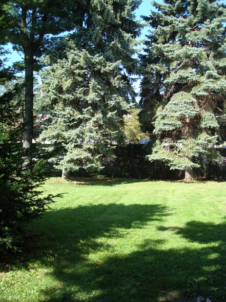 Large landscaped yard - 648 Valley Ave