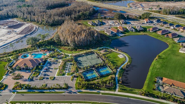 Building Photo - Beautiful Pool home in Starkey Ranch