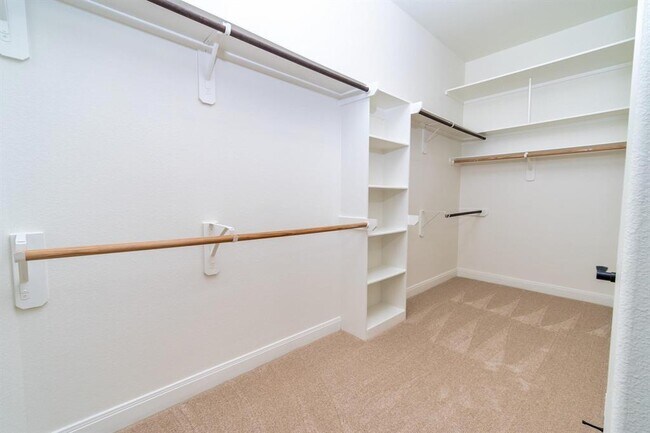 Building Photo - 20410 Lemon Blossom Cir