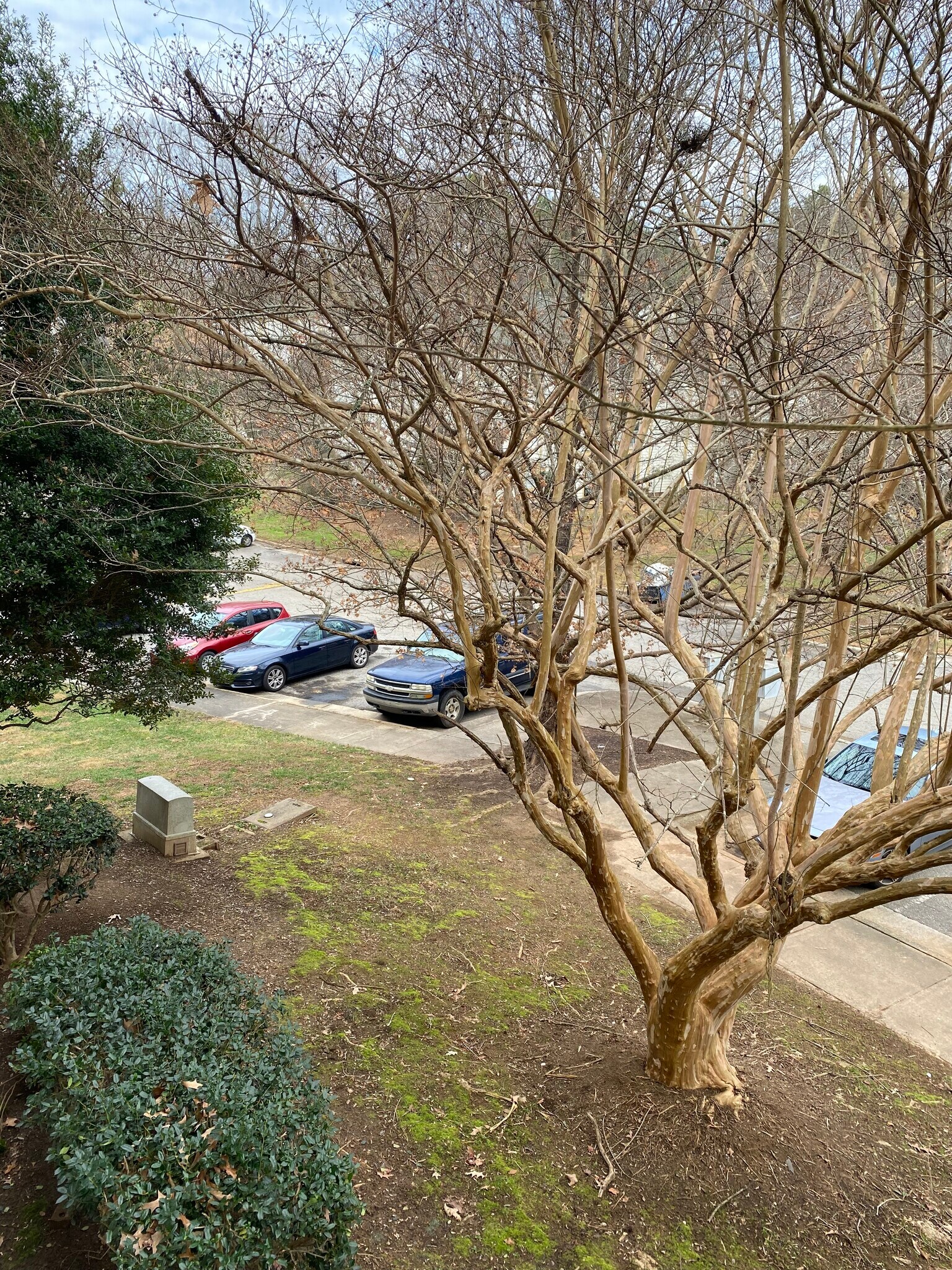 Building Photo - 1511 Creekwood Ct