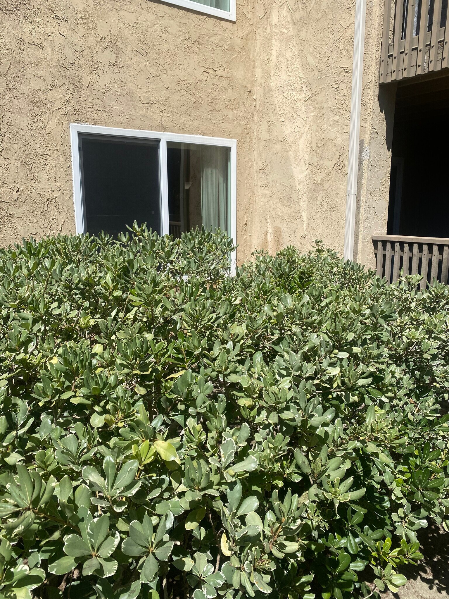 Building Photo - 8581 Villa La Jolla Dr