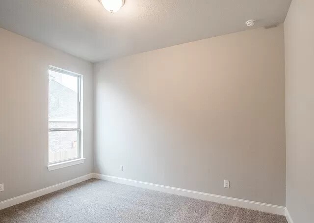 Building Photo - 12823 Florianne