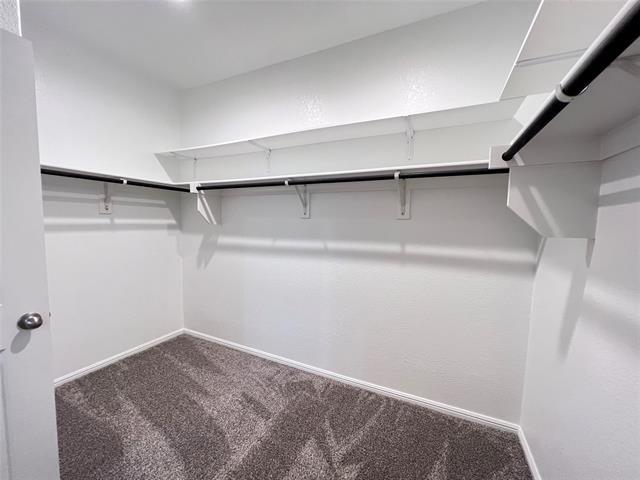 Building Photo - 617 Blacktail Dr