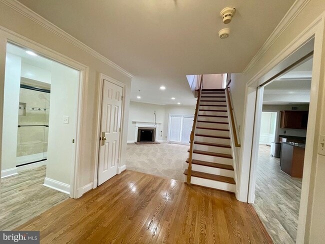 Primary Photo - 11803 Bishops Content Rd