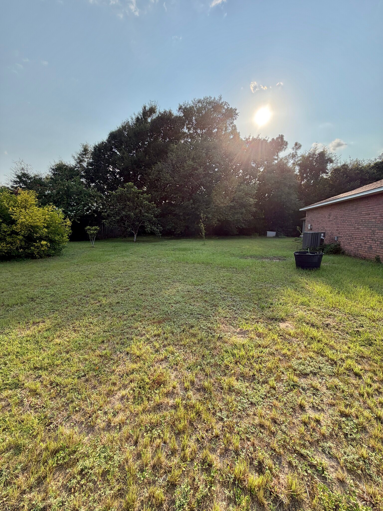 Spacious backyard with mature trees, and plenty of green space - 6281 Hunters Ridge Dr