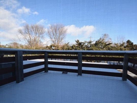 Building Photo - 428 Deldona Dr
