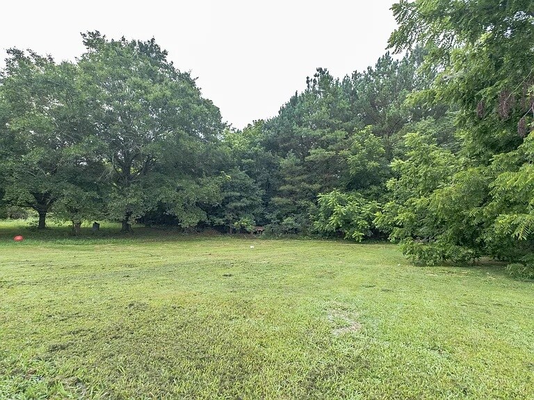 Building Photo - 219 New Hope Rd