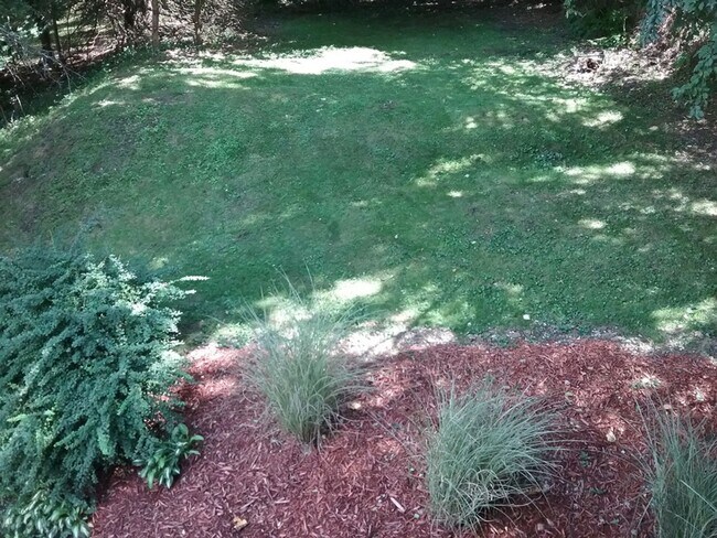 Building Photo - 2-bedroom 1st floor apartment for rent in ...
