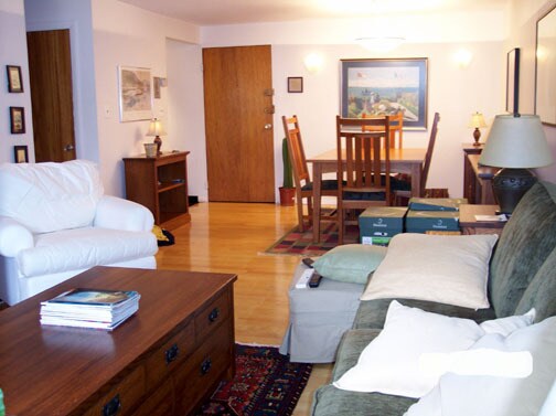 Living area - 287 Harvard St