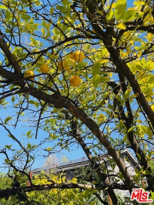 Building Photo - 1080 Finrod Ct