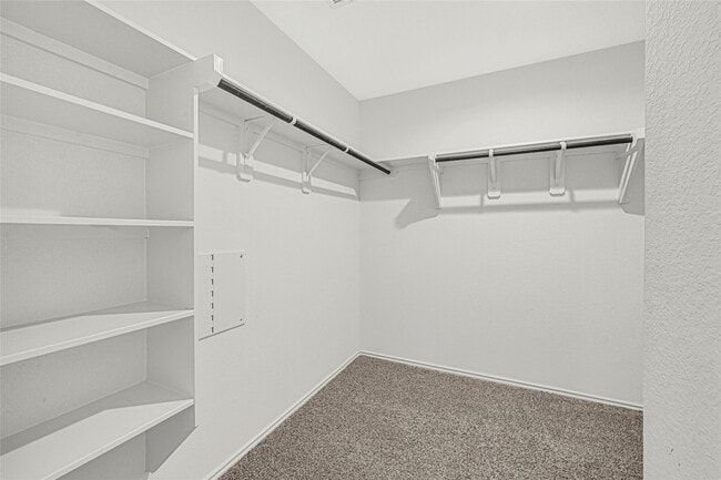 Building Photo - 24323 Elmwood Falls Dr