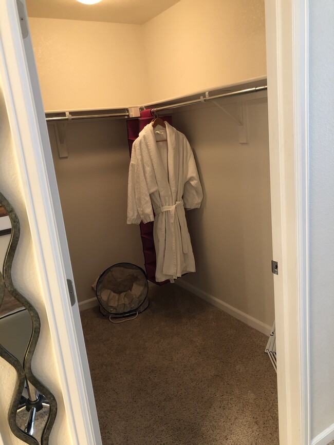 Walk In Closet - 4815 Hahns Peak Dr