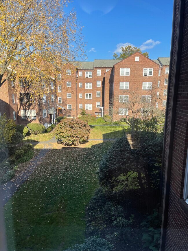 Courtyard view from dining room - 217 Prospect Ave