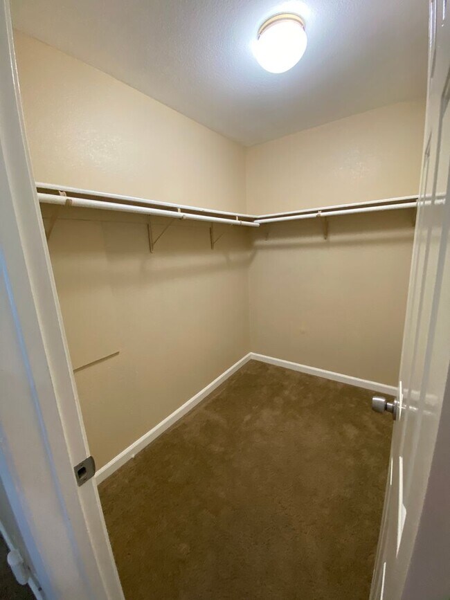 Building Photo - Lots of Natural Sunlight - Close to Travis Air Base - with No Rear Neighbors!