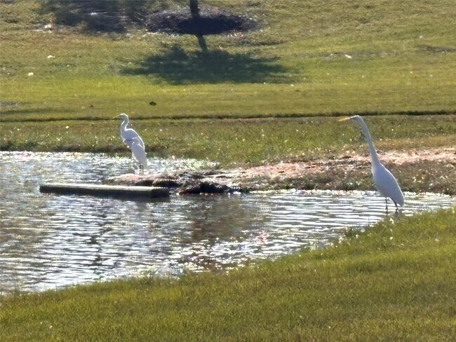 Building Photo - 7414 Evelyn Grv Dr