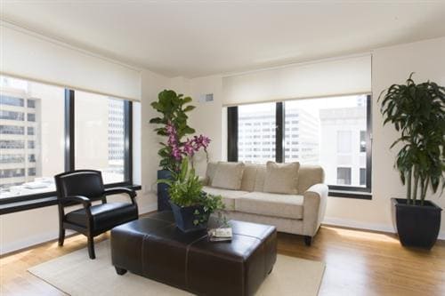 living room - 199 New Montgomery St