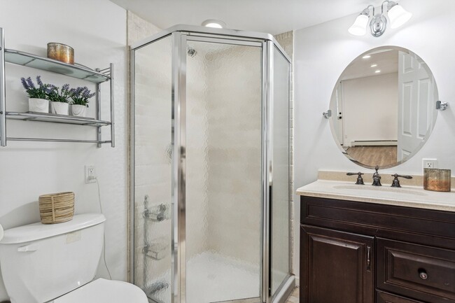 Lower Level full bathroom - 4 Ivanhoe Ln