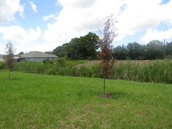 Building Photo - 9113 Waldrep St