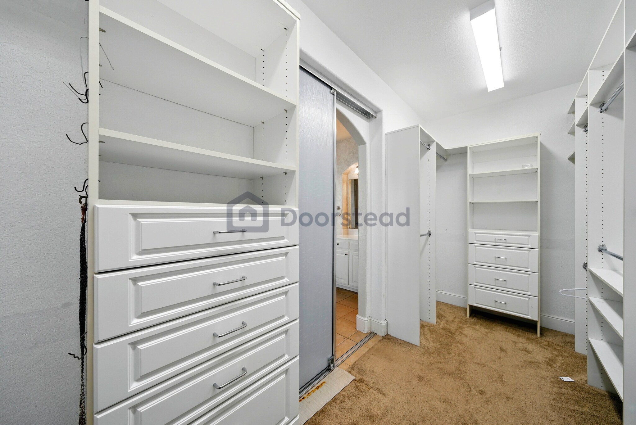 Building Photo - 1513 Van Winkle Dr