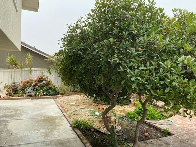 Building Photo - Welcome to this beautiful 4 bedroom home in the highly desirable "Port Streets" of Newport Beach