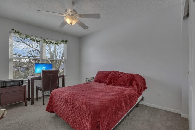 Building Photo - 4976 Conifer Dr