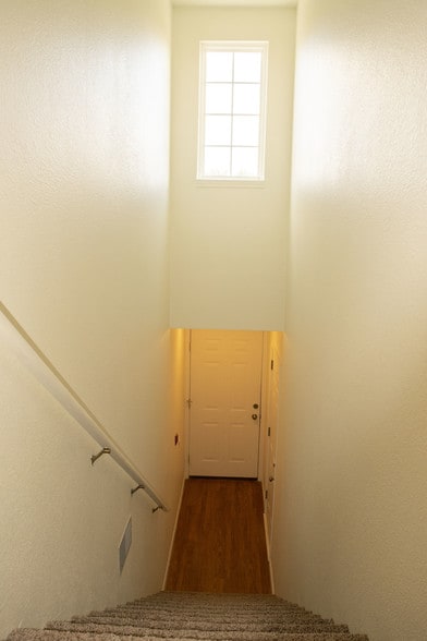 Primary Photo - Sawgrass