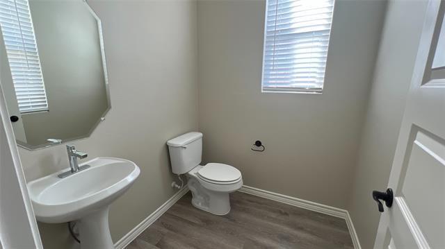 Building Photo - 825 Blossom Ln