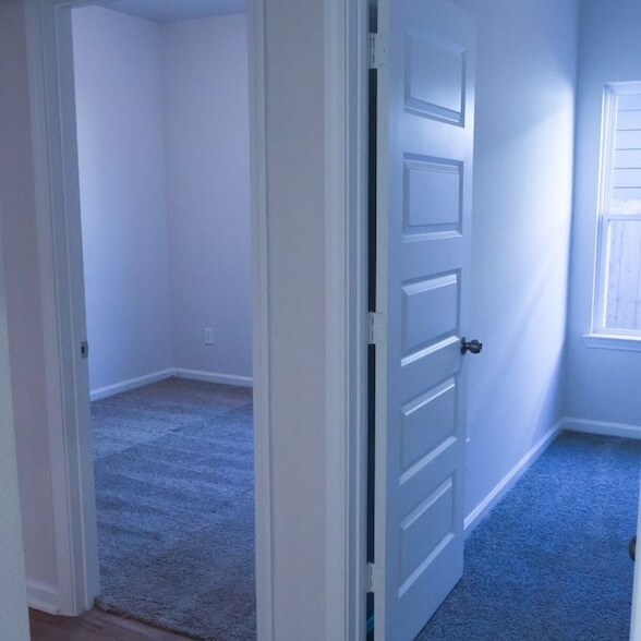 Building Photo - 3338 Brushy Marsh Dr