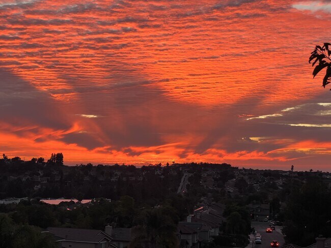 Building Photo - 730 Via Barquero