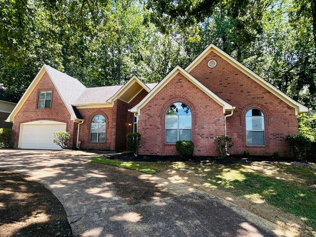 Primary Photo - Newly Renovated Cordova Home! Offering ove...