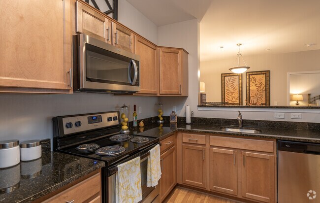 Interior Photo - Elms Montjoy