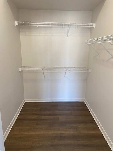 Building Photo - 387 Southwind Ln