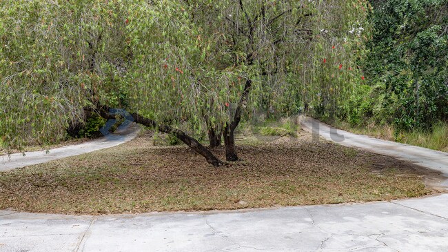 Building Photo - 929 Pahoa St