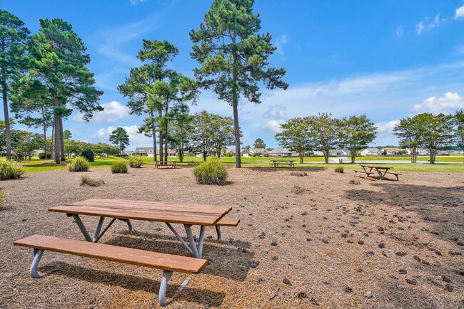 Building Photo - 1604 Royal Pine Ct