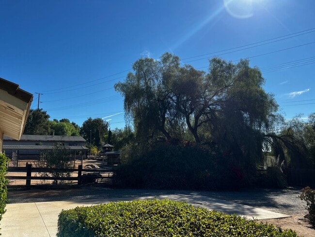 Building Photo - Large lot! 4 bedroom house in Woodcrest! Horse property!