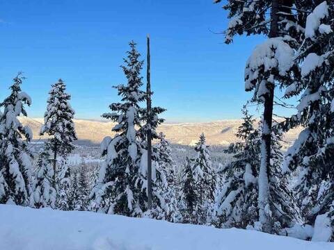 Building Photo - 1954 Panoramic View Dr
