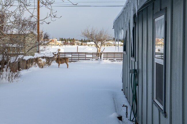 Building Photo - Crisp Remodeled 3-Bdr in Heart of Sisters! ***Move-in Special***