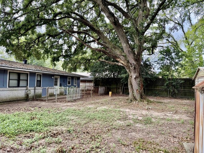 Building Photo - 4345 Bea Dr